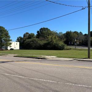 Photo #13 of 252 Carolina Avenue, Suffolk, Virginia 0.4 acres
