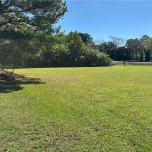 Photo #4 of 252 Carolina Avenue, Suffolk, Virginia 0.4 acres