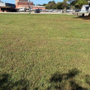 Photo #5 of 252 Carolina Avenue, Suffolk, Virginia 0.4 acres