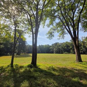 View from Bush Neck Road