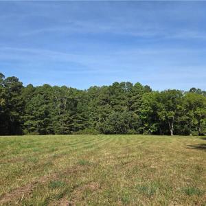 +- 4 Acre Field