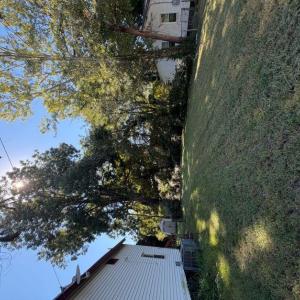 Photo #9 of 98 Manly Street, Portsmouth, Virginia 0.1 acres