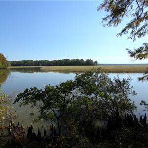 Photo #2 of 2051 Bush Neck Road, Williamsburg, Virginia 90.3 acres