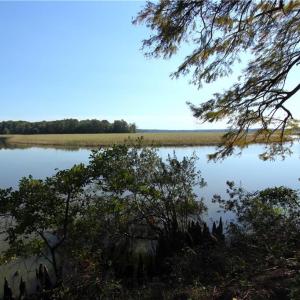 Photo #3 of 2051 Bush Neck Road, Williamsburg, Virginia 90.3 acres