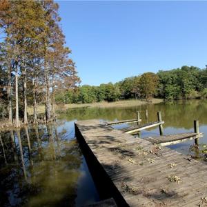 Photo #4 of 2051 Bush Neck Road, Williamsburg, Virginia 90.3 acres