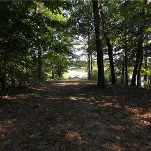 Photo #7 of 2051 Bush Neck Road, Williamsburg, Virginia 90.3 acres