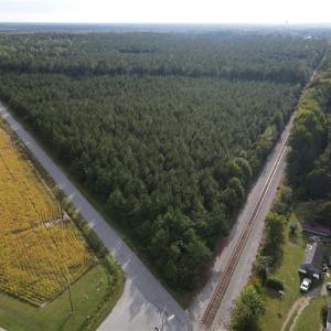 Photo #2 of 12AC Jenkins Mill Road, Franklin, Virginia 12.7 acres