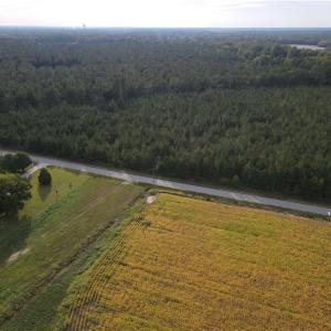 Photo #14 of 12AC Jenkins Mill Road, Franklin, Virginia 12.7 acres