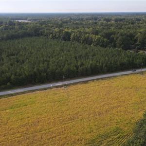 Photo #15 of 12AC Jenkins Mill Road, Franklin, Virginia 12.7 acres