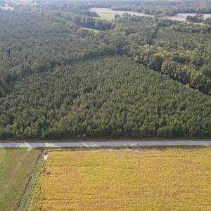 Photo #16 of 12AC Jenkins Mill Road, Franklin, Virginia 12.7 acres