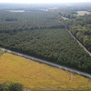 Photo #17 of 12AC Jenkins Mill Road, Franklin, Virginia 12.7 acres