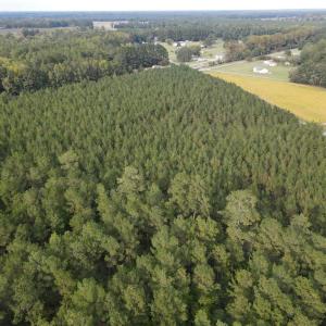 Photo #19 of 12AC Jenkins Mill Road, Franklin, Virginia 12.7 acres