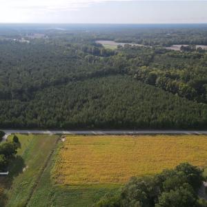 Photo #3 of 12AC Jenkins Mill Road, Franklin, Virginia 12.7 acres