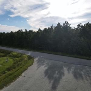 Photo #4 of 12AC Jenkins Mill Road, Franklin, Virginia 12.7 acres