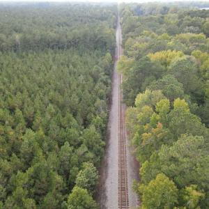 Photo #6 of 12AC Jenkins Mill Road, Franklin, Virginia 12.7 acres