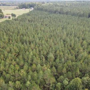 Photo #7 of 12AC Jenkins Mill Road, Franklin, Virginia 12.7 acres