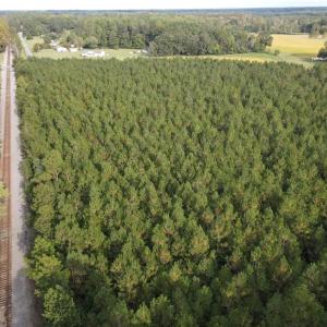 Photo #10 of 12AC Jenkins Mill Road, Franklin, Virginia 12.7 acres