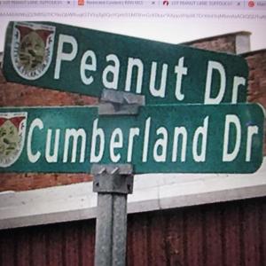 Photo #2 of LOT PEANUT Lane, Suffolk, Virginia 1.5 acres
