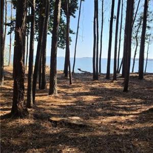 Photo #4 of 816 Ship Point Road, Yorktown, Virginia 2.7 acres