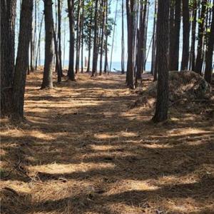 Photo #5 of 816 Ship Point Road, Yorktown, Virginia 2.7 acres