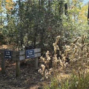 Photo #7 of 816 Ship Point Road, Yorktown, Virginia 2.7 acres