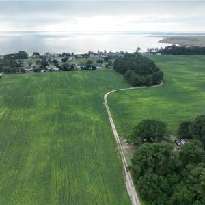 Photo #5 of 133 Blue Heron Lane, Knotts Island, North Carolina 51.0 acres