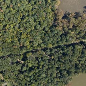 Photo #2 of 234 Sandy Bay Road, Williamsburg, Virginia 33.9 acres