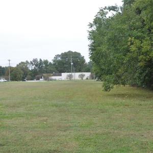 Along property line