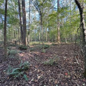 Photo #12 of 26-17 Catapult Lane, Gloucester, Virginia 13.4 acres
