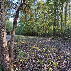 Photo #13 of 26-17 Catapult Lane, Gloucester, Virginia 13.4 acres