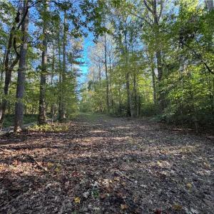 Photo #14 of 26-17 Catapult Lane, Gloucester, Virginia 13.4 acres