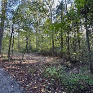 Photo #15 of 26-17 Catapult Lane, Gloucester, Virginia 13.4 acres