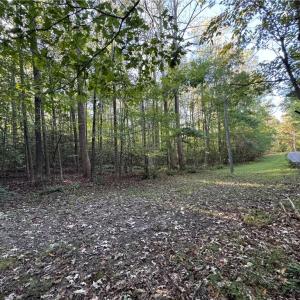 Photo #4 of 26-17 Catapult Lane, Gloucester, Virginia 13.4 acres