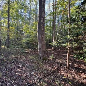 Photo #5 of 26-17 Catapult Lane, Gloucester, Virginia 13.4 acres