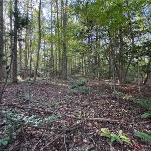 Photo #7 of 26-17 Catapult Lane, Gloucester, Virginia 13.4 acres