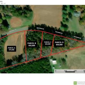 Photo #1 of Parcel C Iron Works, Reidsville, NC 0.7 acres