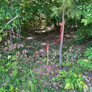 Photo #5 of Parcel C Iron Works, Reidsville, NC 0.7 acres
