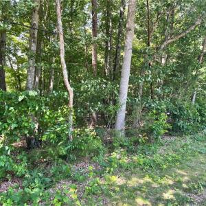 Photo #4 of Parcel C Iron Works, Reidsville, NC 0.7 acres