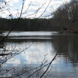 Photo #6 of 3721 Brooks Crest, Browns Summit, NC 1.0 acres