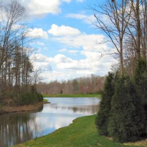 Photo #3 of 3721 Brooks Crest, Browns Summit, NC 1.0 acres