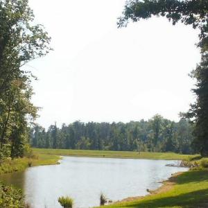 Photo #2 of 3715 Brooks Crest, Browns Summit, NC 1.6 acres