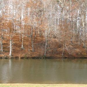 Photo #3 of 3715 Brooks Crest, Browns Summit, NC 1.6 acres