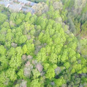 Photo #7 of Clemmons, Clemmons, NC 6.8 acres