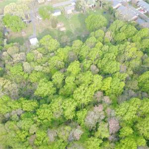 Photo #8 of Clemmons, Clemmons, NC 6.8 acres