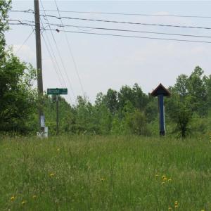 Photo #5 of 4517 Hicone, Greensboro, NC 1.5 acres