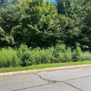 Photo #3 of LOT 26 Rhode Island, Mocksville, NC 0.8 acres