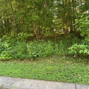 Photo #7 of LOT 34 Rhode Island, Mocksville, NC 1.5 acres