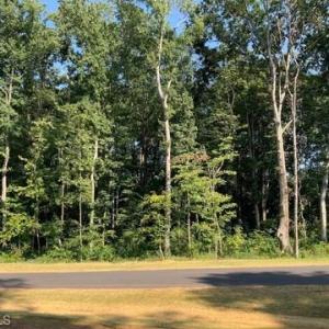 Lot#2