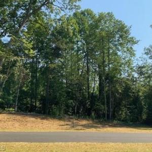 Lot#6