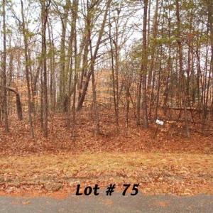 Photo #1 of #75 Beaver, Eden, NC 0.9 acres